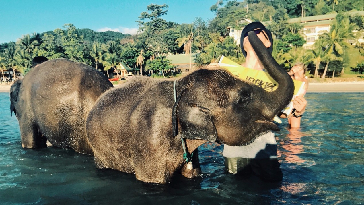 泰国象岛旅游攻略