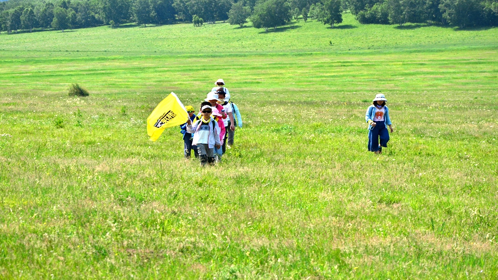 2018小孩子的暑假应该怎么过?北京暑假夏令营