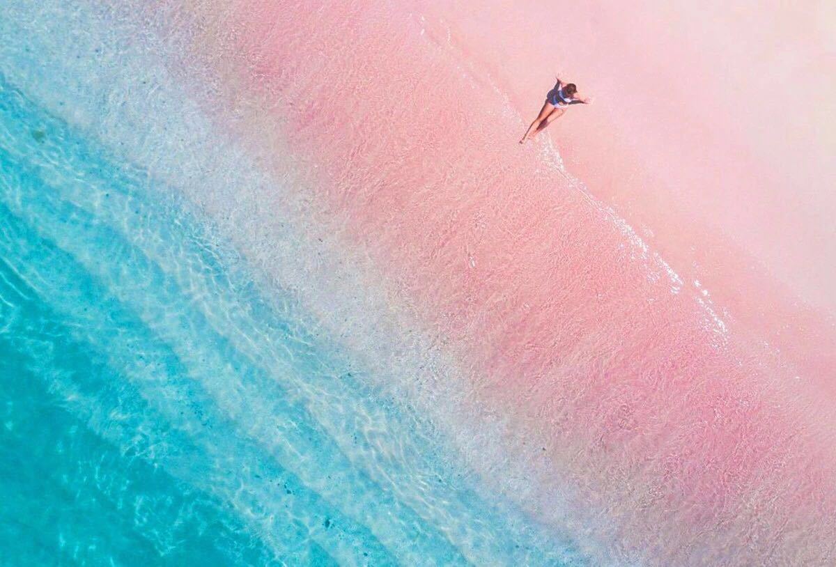 在这里,百分之80的沙滩多多少少都会带一些粉色.粉色沙滩在世