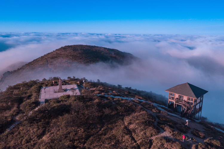 20190716_edit_5d2d29061a5cf.jpg DJI_0101.jpg