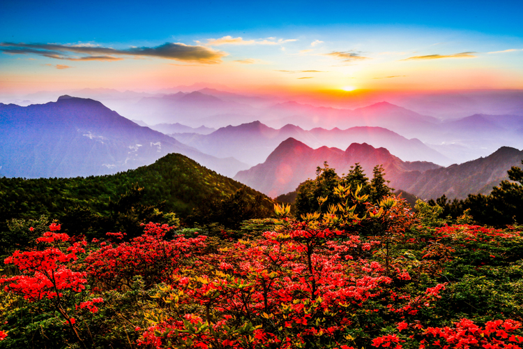 20190716_edit_5d2d27ffd2241.jpg mmexport1507780070888_看图王.jpg