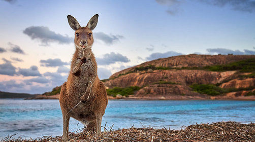告诉你澳大利亚最佳旅游时间，澳大利亚与中国时差有多少？