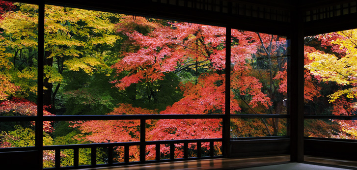 日本红叶季最佳观赏点——京都琉璃光院，美到窒息的琉璃光院最新开放和预约时间公布