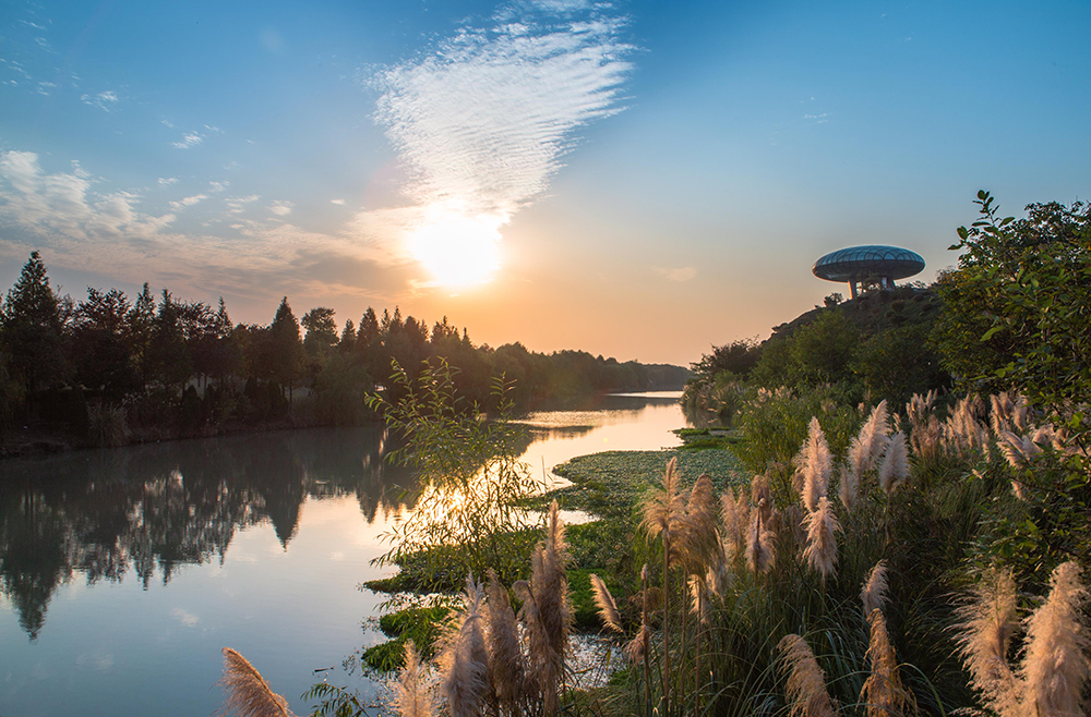 20191016_edit_5da6b872938f5.jpg 湿地博物馆.jpg
