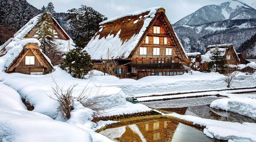 日本冬季旅游，最惬意冬季玩法看这里