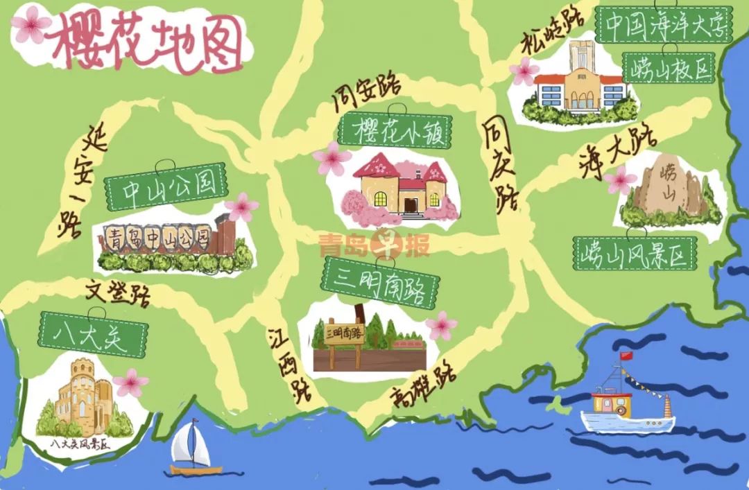 青岛赏樱地图(图片来自青岛早报)