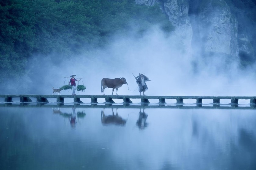 <a target='_blank' href='https://bbs.youxiake.com/mdd/41.html'>缙云</a>