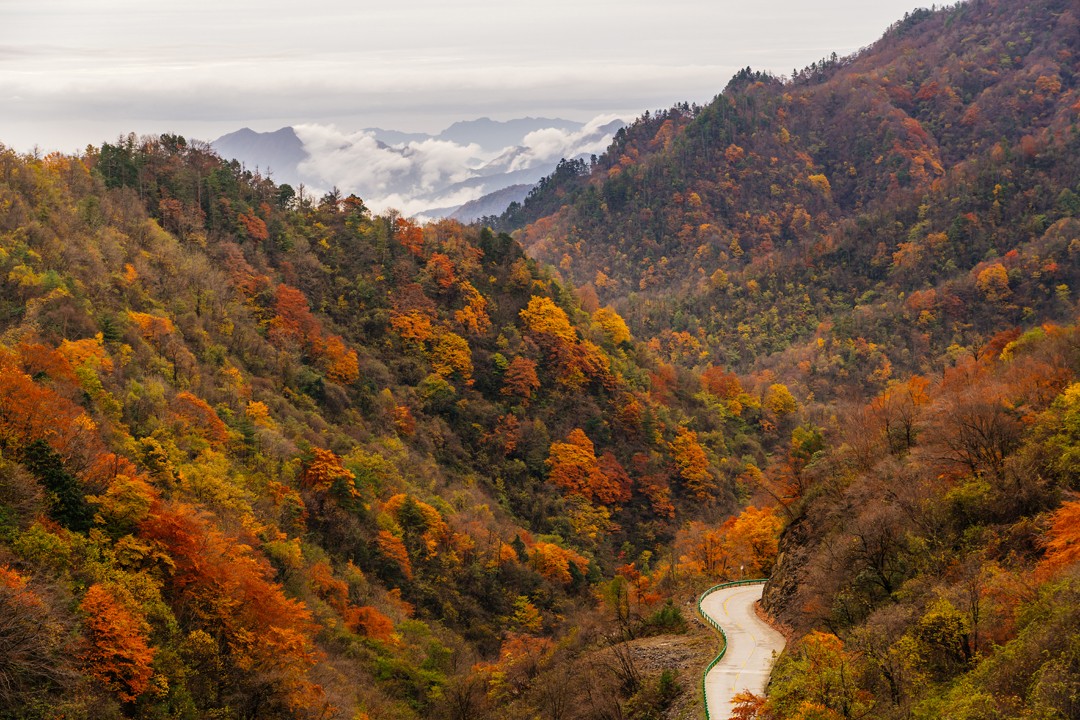 秦巴山脉秋色攻略有一种心动叫做秦巴山的秋天邂逅浪漫秋景