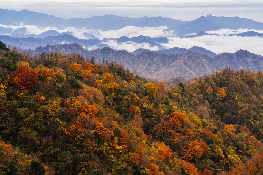 秦巴山脉秋色攻略有一种心动叫做秦巴山的秋天邂逅浪漫秋景