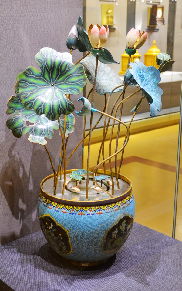 shoucangpinqianfalangzhuanniaokaihehuagang_8106357.jpg
