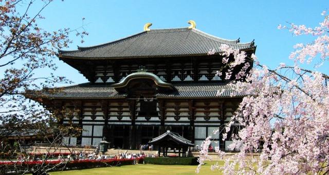 日本国民的精神故乡—奈良