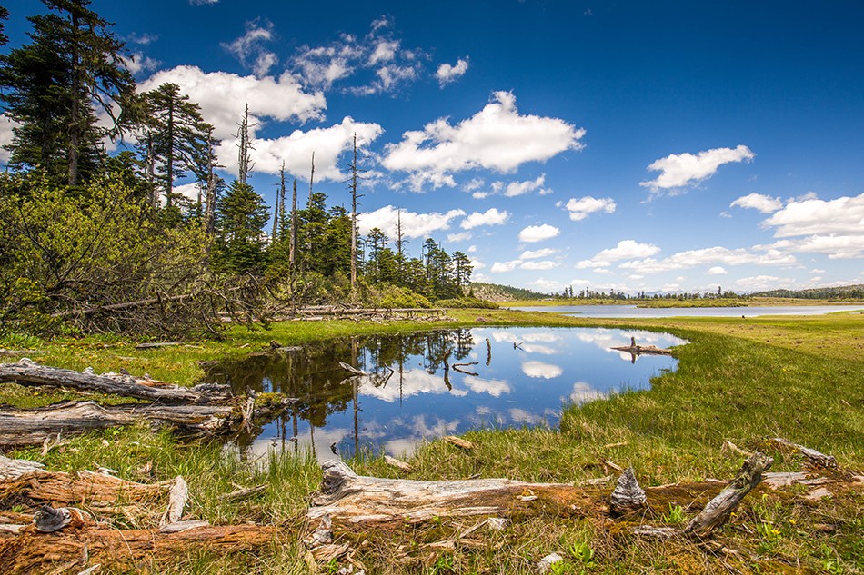 香格里拉的最后一片秘境在哪里绝美千湖山游玩攻略