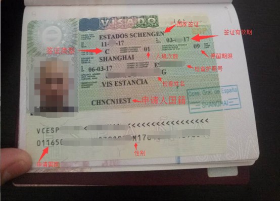 欧洲签证照片要求图片