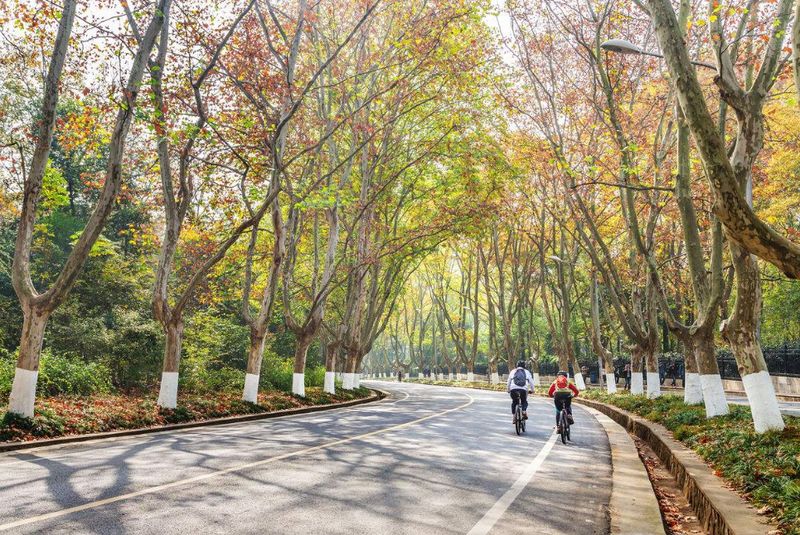 秋日午后在陵园路上骑行