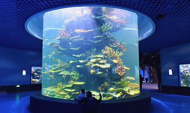 贵阳海底世界水族馆图片